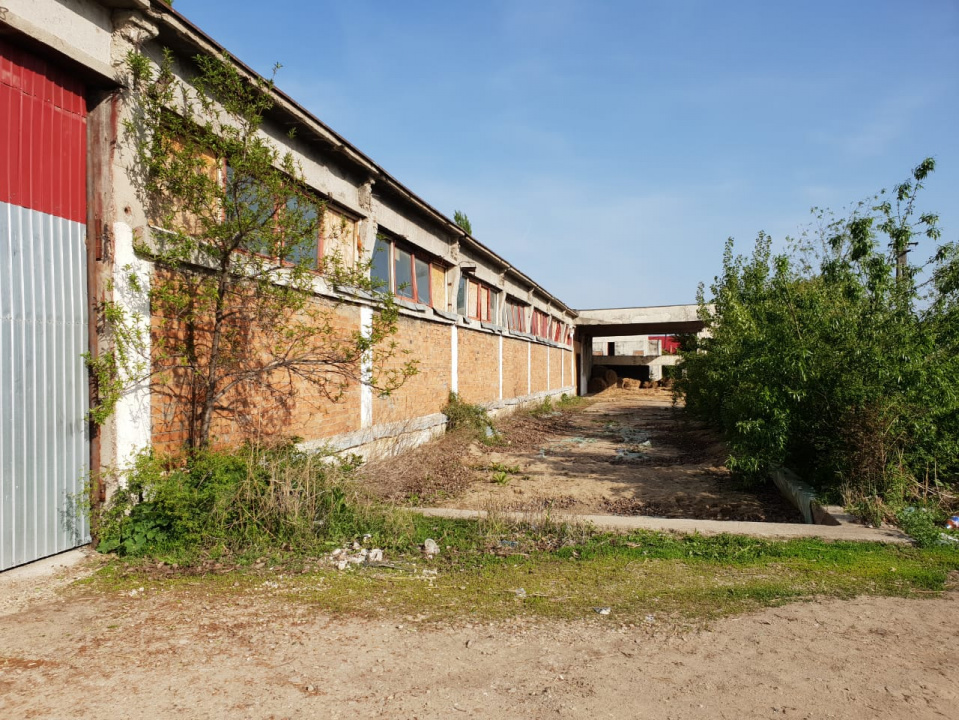 Buzau - Vernesti / Spatiu Industrial + Hale / Toate Utilitatile