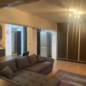 Teiul Doamnei  Grigore Ionescu / Apartament 2 Camere / Balcon / Boiler